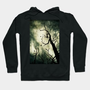 Beckoning Hoodie